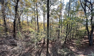 Lot 5 Allison Dr, McCalla, AL 3511