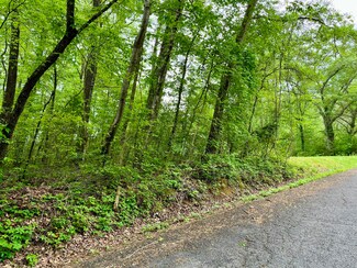 Lot 25 Omega Dr, Whitwell, TN 37397