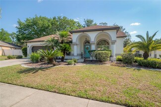 2909 Folklore Dr, Valrico, FL 33596