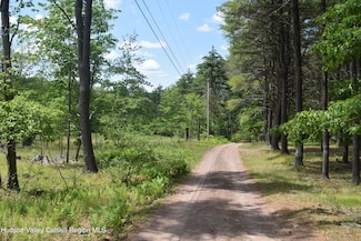 TBD Anthony Dr, Cairo, NY 12058