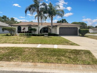 9126 Hawkins Ct, New Port Richey, FL 34655