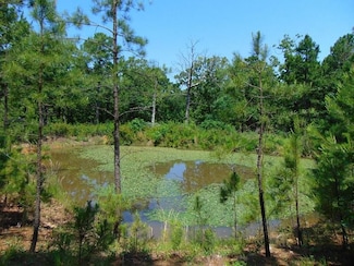 0 Wren Ln, Wister, OK 74966