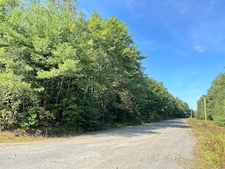 0 Dunham Rd Unit 1602727, Milo, ME 04463