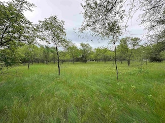 1.5/A Lot #4 St, Packwaukee, WI 53953