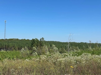 121 Fernwood Dr Unit 99, Dover, TN 38222