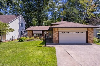 6545 Forest Glen Ave, Solon, OH 44139