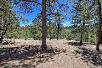 112 Blue Jay Ln, Florissant, CO 80816