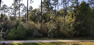25 Ac W Dogwood Dr, Crestview, FL 32536