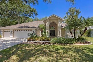 15819 Dawson Ridge Dr, Tampa, FL 33647