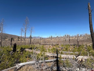 1070 Reed Ln, Fort Garland, CO 81133