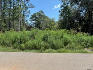 72424 Daisy St, Covington, LA 70435