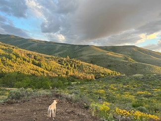 TBD Larkspur Way, Pocatello, ID 83201