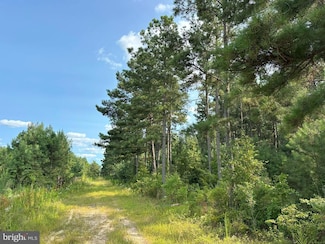 0 Old Myrtle Road (Tract: Godwin Jenkins Aston-4), Suffolk, VA 23437