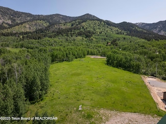 8 Dean -N- Neva Cir, Star Valley Ranch, WY 83127