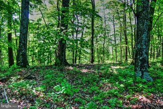 0 Supinlick Ridge Rd Unit VASH119820, Mount Jackson, VA 22842