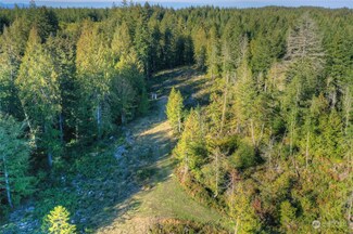 1360 Thomas Rd, Grapeview, WA 98546
