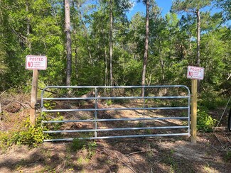 TBD Oscar Holmes Rd, Wewahitchka, FL 32465