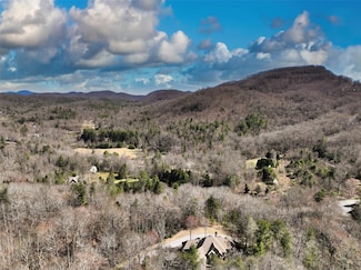 4.17 Acres Spruce Ln Unit 28, Zirconia, NC 28790