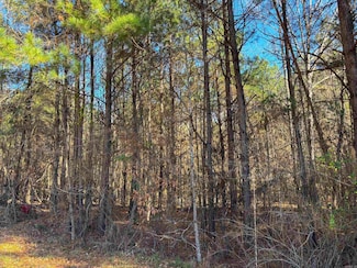 84 Grant 733, Sheridan, AR 72150