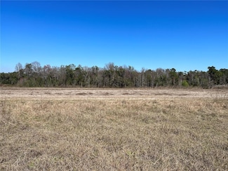 LOT 4B E Highway 318, Fort McCoy, FL 32134