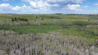 0 County Road 279, Piedmont, WY 82933