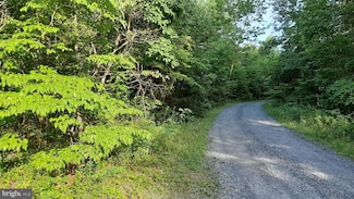 0 Brush Leaf Ln Unit VASH2011748, Mount Jackson, VA 22842