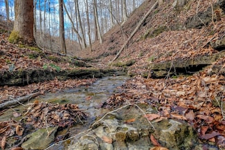 0 W Hutchins Bend Rd Unit RTC2778655, Sparta, TN 38583