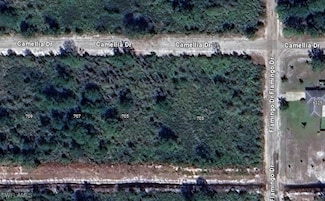 701 Camellia Dr, Lake Wales, FL 33855