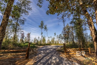 0 Whitehouse Fork Rd Unit 356526, Bay Minette, AL 36507