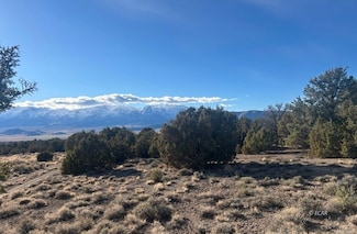 0 Two Track, Wells, NV 89835