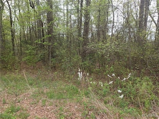 12332 E Booker Blvd, Chester, VA 23831