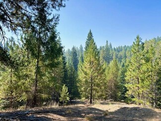 TBD Saddle Rock Dr, Cascade, ID 83611