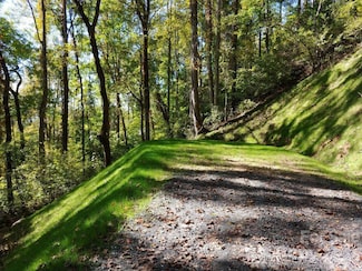 Lot 43 Thomas Divide Trail, Bryson City, NC 28713