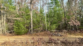 6034 S Jefferson Way Ave, Pleasant Plains Township, MI 49304