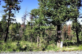 216 Cummings Dr, Ruidoso, NM 88345