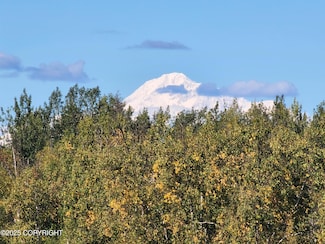 14791 E Susitna Landing Rd, Willow, AK 99688