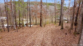 Lot 13 Birdsong Rd, Ebony, VA 23845