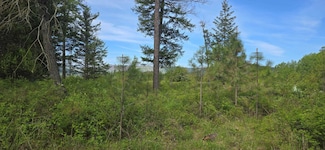 4571 B Williams Valley Rd, Clayton, WA 99110