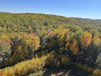 00 Fort Dummer Heights Unit 2, Brattleboro, VT 05301