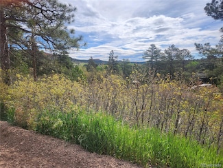 0 Buena Vista Ave Unit REC7400494, Palmer Lake, CO 80133