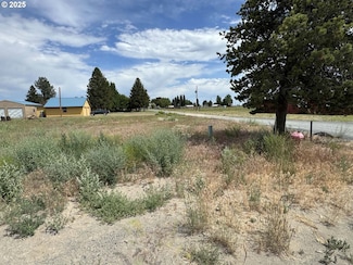 0 Holly Unit 600 464054273, Christmasvalley, OR 97641