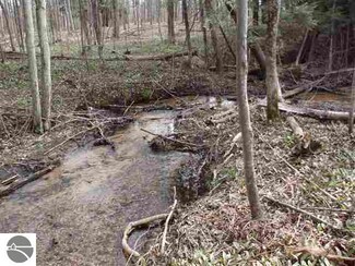 00 Old Grade Rd Unit 126, Thompsonville, MI 49683