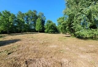 1240 Holston River Dr, Rutledge, TN 37861