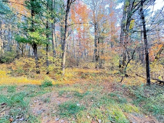 7.32AC E 58th St, Brooks Township, MI 49337