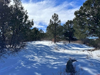 TBD lot 4 Pointe Escape Dr, Loghill Village, CO 81432