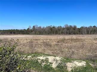 LOT 5A E Highway 318, Fort McCoy, FL 32134