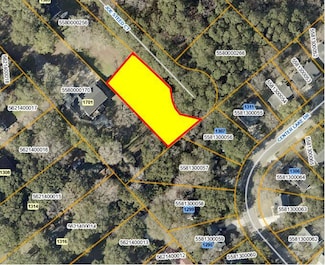 1311 Joe Steed Ct, Mount Pleasant, SC 29464