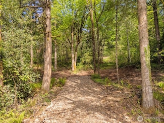 0 Old Spreadborough Rd, Kalama, WA 98625