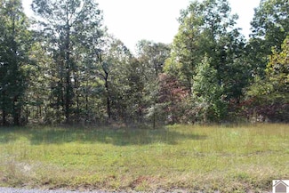 Lot 175 Shine Ln Unit Western Shores Shine, Murray, KY 42071