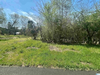 1305 Bullard St Unit 10, Bessemer, AL 35020